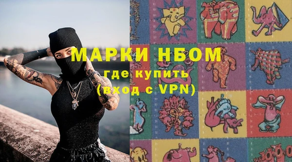 прущие грибы Алзамай