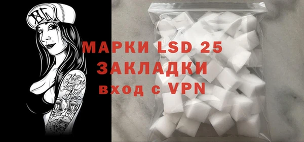 прущие грибы Алзамай