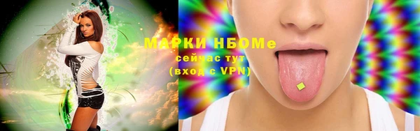 хмурый Алексин