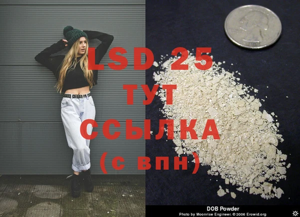 прущие грибы Алзамай
