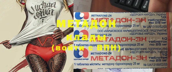 прущие грибы Алзамай