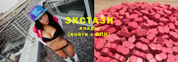 хмурый Алексин