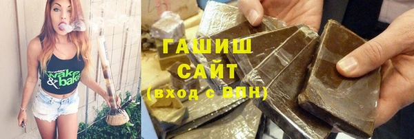 прущие грибы Алзамай