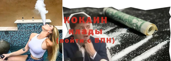 прущие грибы Алзамай